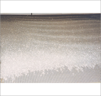 Forced Convection Band Dryer
